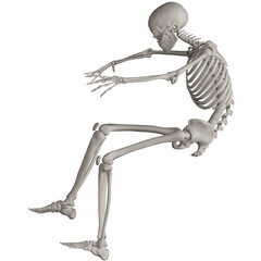 skeleton posing 3d render illustration with transparent background
