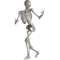 skeleton posing 3d render illustration with transparent background