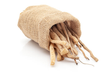 Close-up of Shatavari (Asparagus racemosus) roots, in laying jute bag over white background.