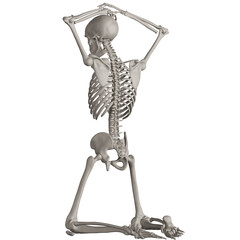 skeleton posing 3d render illustration with transparent background