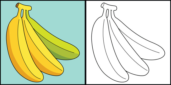 Banana Fruit Coloring Page Colored Illustration