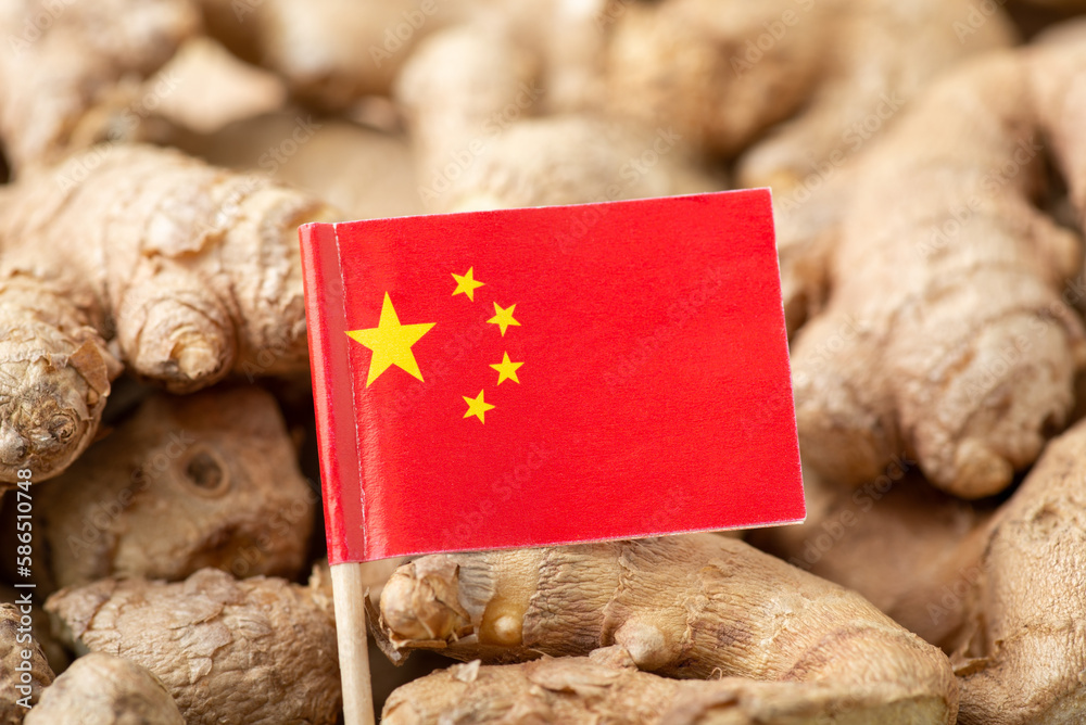 Poster Flag of China on ginger. Origin of spices, trade of ginger around the world concept