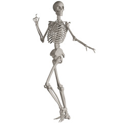 skeleton posing 3d render illustration with transparent background