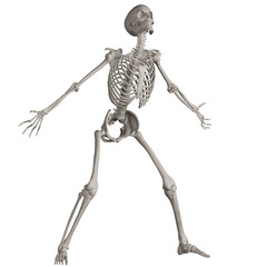 skeleton posing 3d render illustration with transparent background