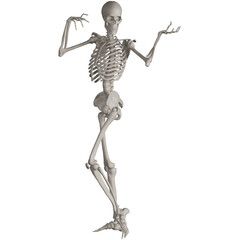skeleton posing 3d render illustration with transparent background