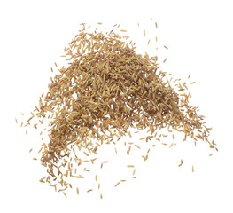 Paddy Rice grain fly in mid air. Yellow Golden Paddy Rice falling scatter, explosion float in shape form line group. White background isolated freeze motion high speed shutter