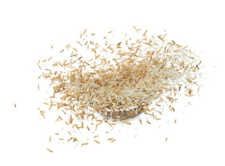 Paddy Rice grain fly in mid air. Yellow Golden Paddy Rice falling scatter, explosion float in shape form line group. White background isolated freeze motion high speed shutter