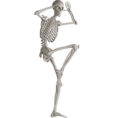 skeleton posing 3d render illustration with transparent background