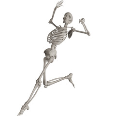 skeleton posing 3d render illustration with transparent background