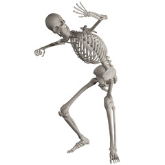 skeleton posing 3d render illustration with transparent background