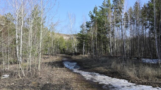 A sunny spring day in the Zhiguli mountains. Lifestyle. Sports and recreation.