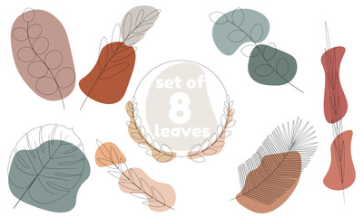  Leaves without background with colored circles in flat style set of 8 images
