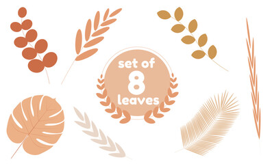 yellow autumn leaves