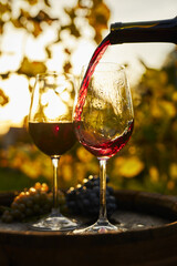 Pouring red wine into glasses standing on a wooden barrel at sunset