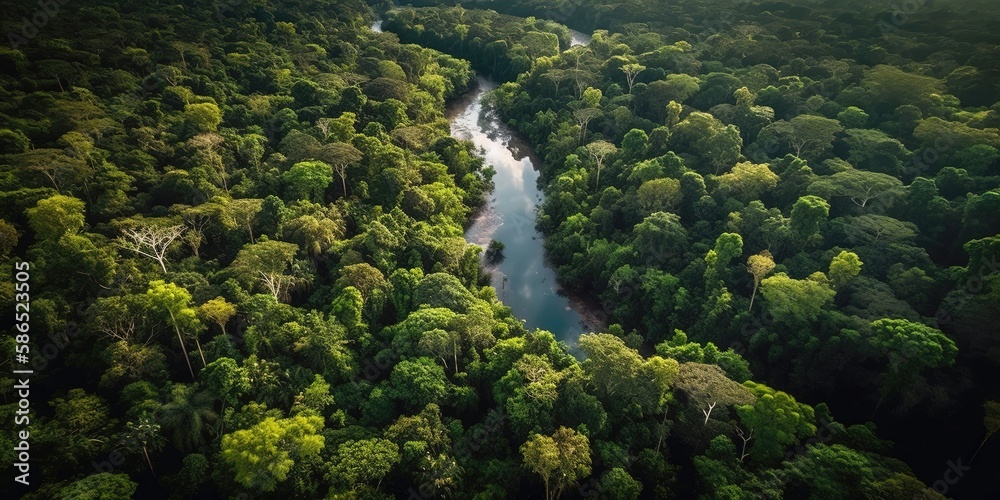 Poster view from the height of the river among the green forest.aerial view. panoramic shot. generative ai