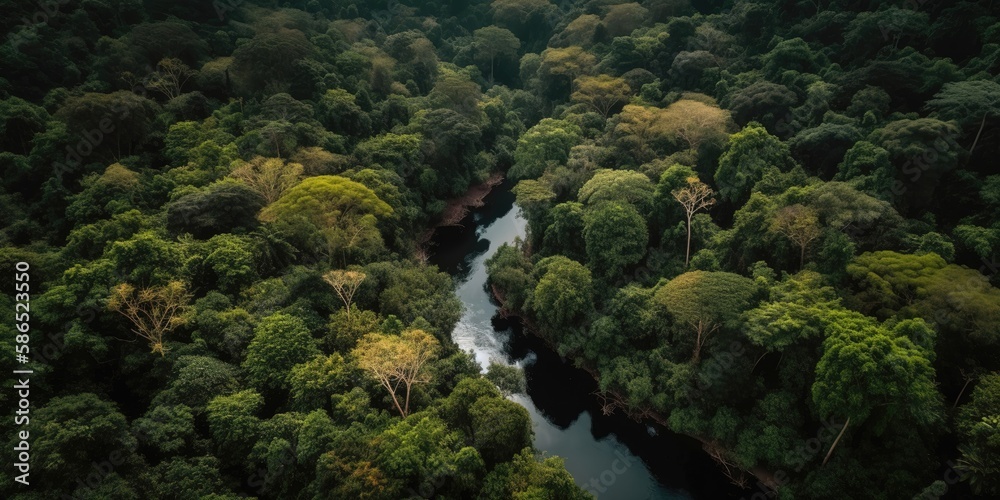 Poster view from the height of the river among the green forest.aerial view. panoramic shot. generative ai