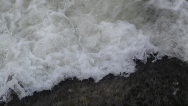 torrente