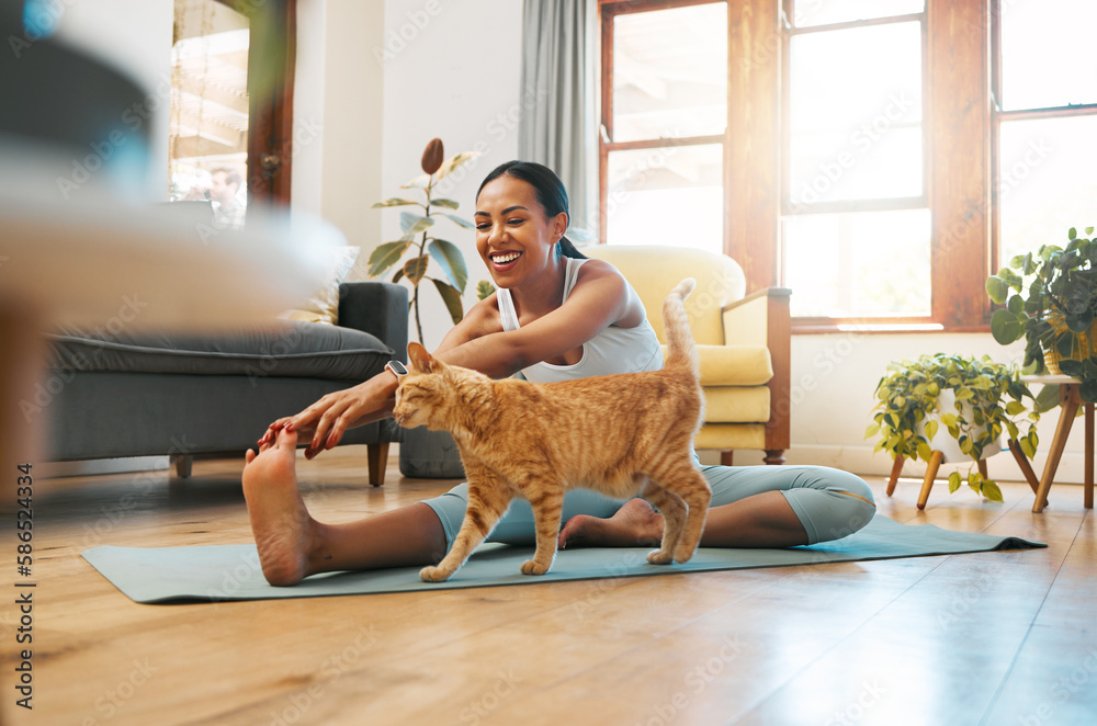 Canvas Prints Cat, fitness or happy woman in yoga stretching legs for body flexibility, wellness or healthy lifestyle. Kitten, pet animal or zen girl in exercise, workout or training warm up in house exercising