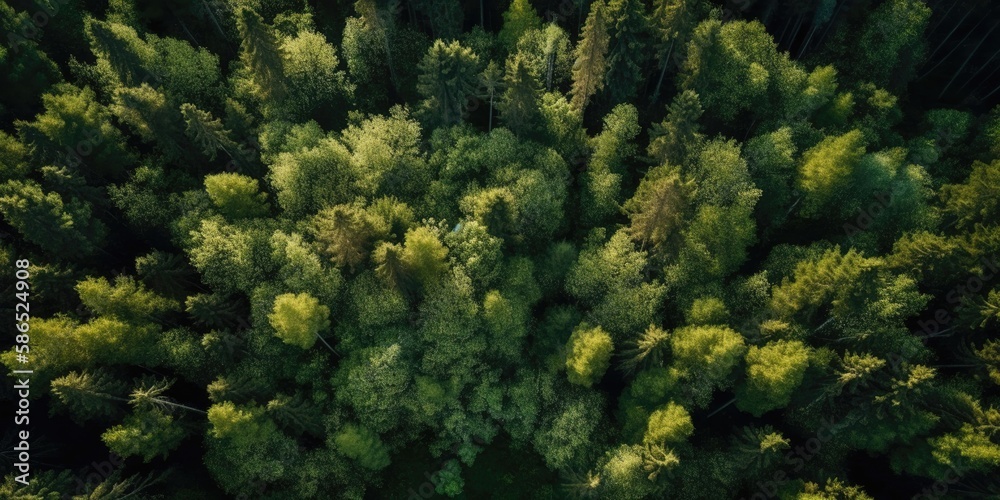 Poster beautiful bird's-eye view of the rainforest.aerial view. panoramic shot. generative ai