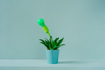Potted plant with green light bulb in front of wall