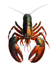 Lobster Illustration With Transparent Background. Generative Ai.