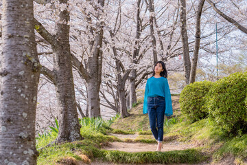 お花見で散歩する女性９