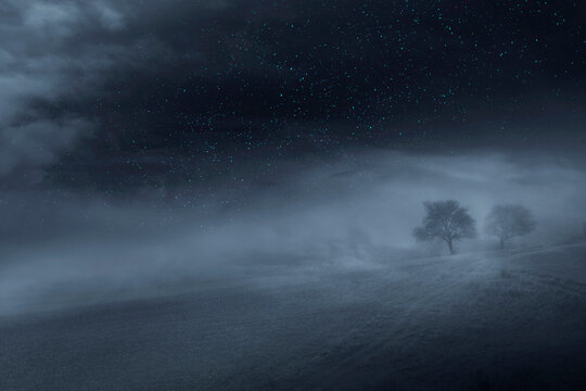 dark night landscape with tree on misty hill