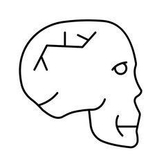Skull Vector Icon

