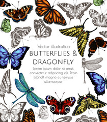 Image of Vector illustration frame insects. Monarch butterfly, hive butterfly, peacock butterfly, butterfly swallowtail, pieridae, butterflies admiral, podalirius, papilio, dragonfly printed on Printed Glass Basin Splashbacks