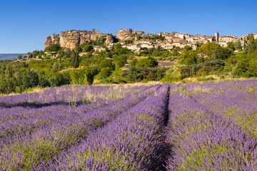 The village of Saignon in Provence with lavender field in summer. Vaucluse, France - obrazy, fototapety, plakaty
