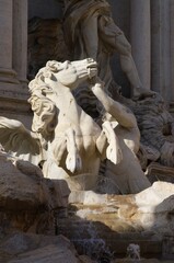 Fototapeta na wymiar fragment of Trevi fountain in Rome