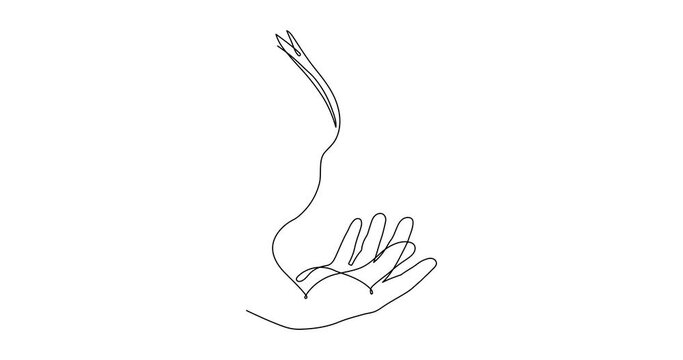 Hand with dove of peace and olive branch, one line art animation, continuous contour motion. Hand drawn palm with pigeon video,hope bird sign of freedom and independence.4k movie