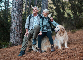 Forest, hiking and old couple with dog sitting on rock in mountains in Peru on retirement holiday...