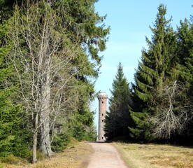 Moorlandschaft im Schwarzwald