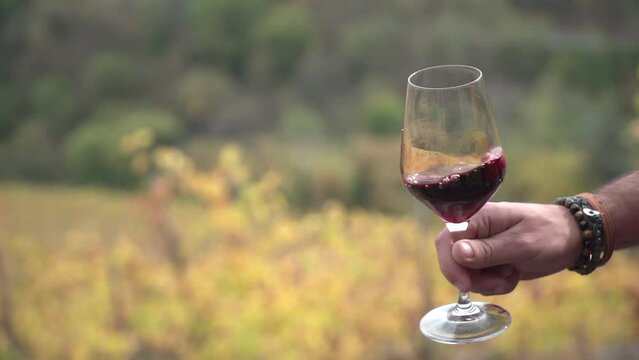 D&eacute;gustation de vin dans les vignes slow-motion