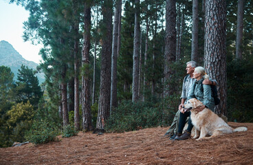 Forest, relax and hiking, old couple with dog on nature walk and mountain view in Peru. Travel, senior man and woman rest on cliff with love, Labrador pet and health on retirement holiday adventure. - Powered by Adobe