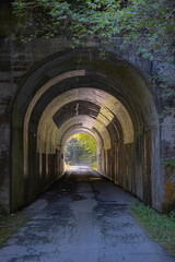 Fototapeta premium tunnel in the park