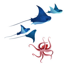Octopus and manta ray fishes marine animals, sea creatures vector illustration. Blue eagle ray fishes, red octopus mollusk, manta ray scuba. Eagle or devil fish group, stingray giant ocean animals. © SunwArt