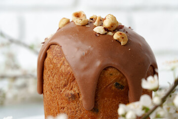Ester cake with chocolate topping and nuts on gray background