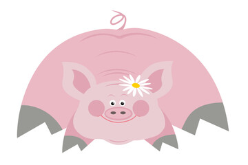 cartoon pig illustration