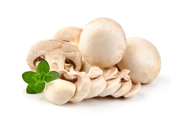 Champignons, close-up, isolated on white background.