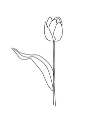 Line art flower.Tulip flower line continuous . Minimalist art. One line drawing
