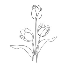 Tulip flower line continuous .Calla lily flower one line drawing art. Line continuous style. Simple black and white logo, icon, design