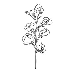 Illustration of a rose. Flowers one line art. Lisianthus one line drawing. Flower one line drawing art. Concept hand drawing sketch line.