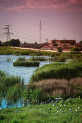 Fototapete bei efototapeten.de bestellen   