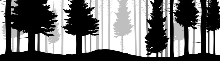 Obraz premium Forest black forest vector illustration banner misty fog forest landscape panorama adventure wildlife - Black gray silhouette of spruce and fir trees, isolated on white background