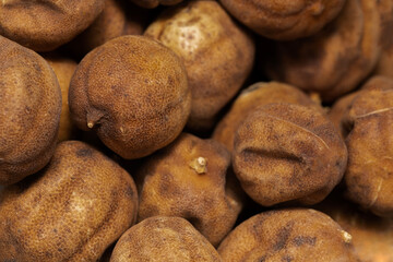 close-up macro shot of dried lime