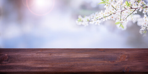 Spring blossom with dark wooden presentation counter. Horizontal spring background for seasonal decorations and space for text.
