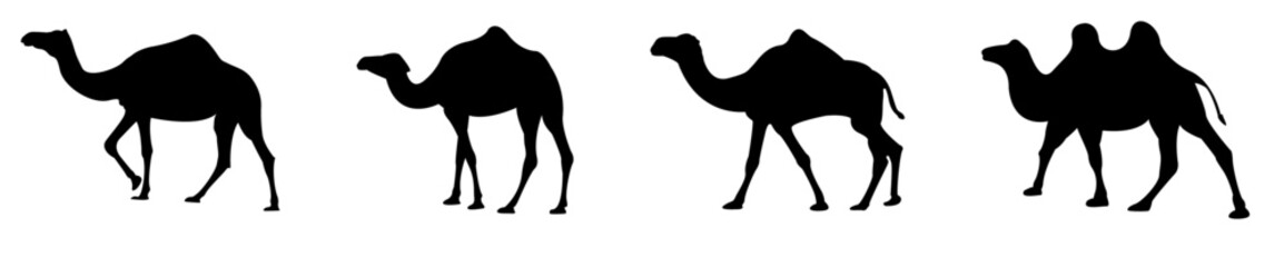 The silhouette of a camel.