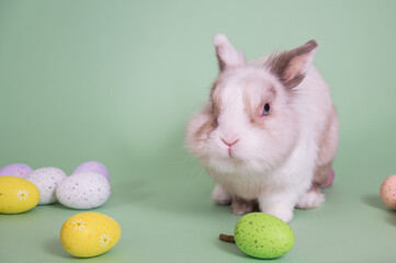 Easter Bunny on a green background with colorful painted eggs.